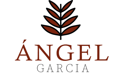 Principal angel garcia 4